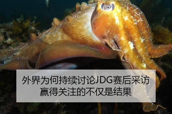 外界为何持续讨论JDG赛后采访 赢得关注的不仅是结果