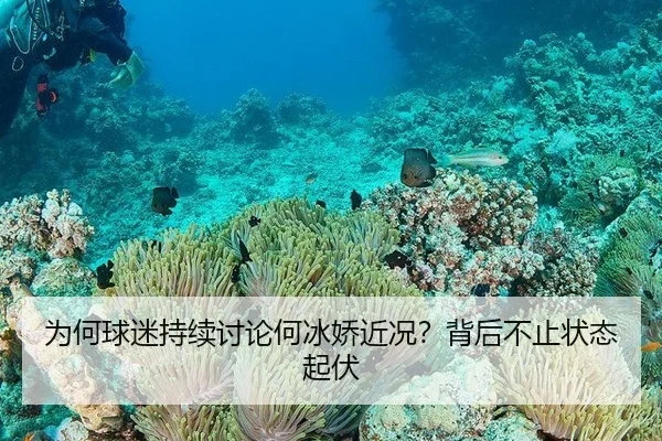 为何球迷持续讨论何冰娇近况？背后不止状态起伏